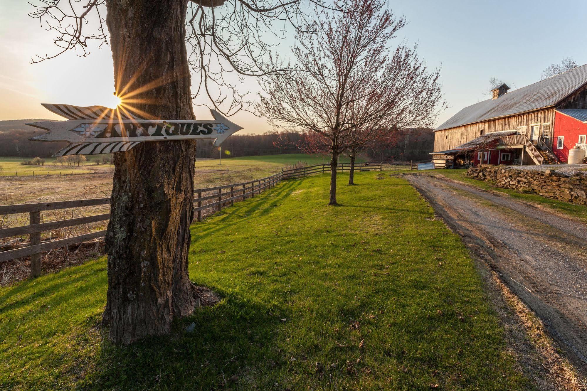 Inn At Buck Hollow Farm Fairfax Екстериор снимка
